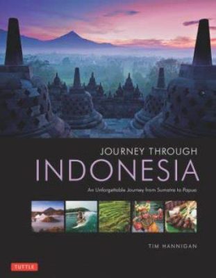  Launching into the World: A Journey Through Indonesian Marketing Perspectives